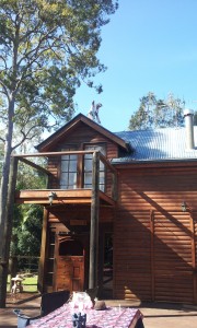 Jai Spraying Roof using harness safety system